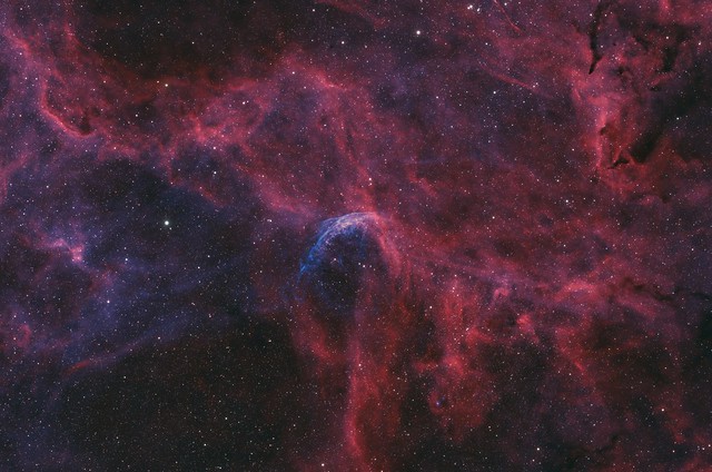 NGC 6883 (LBN 182) & WR 134