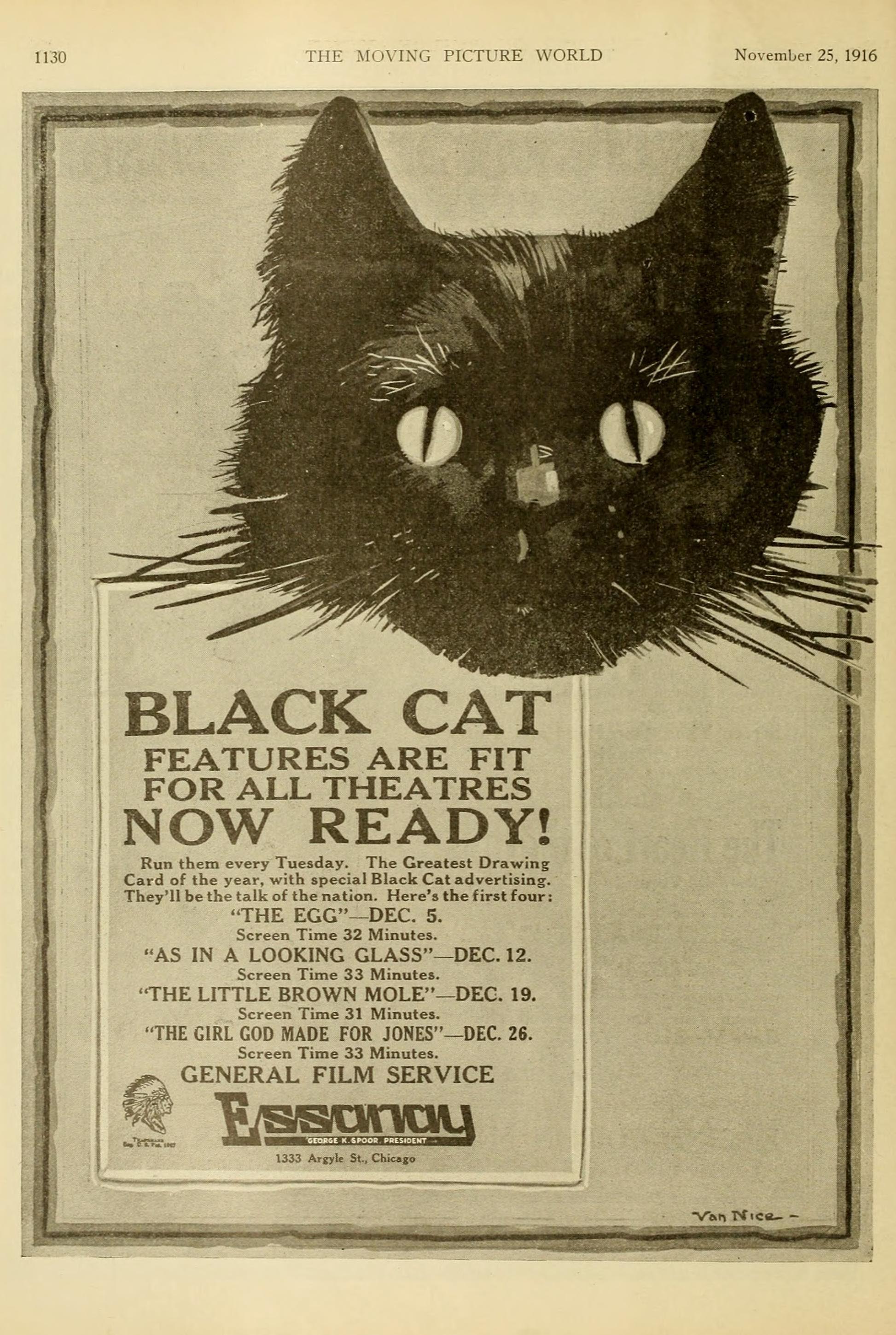 Advertisement for Black Cat General Film Services. The Moving Picture World, November 1916 