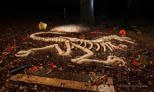 dinosaur jurassic bones skeleton mystery garden dig digging discovery outdoor dark fantasy art artwork