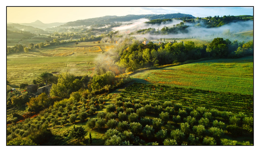 Misty morning in Tuscany