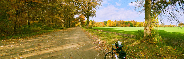 033268- Autumn Adorns Hudsonville Gravel Roads