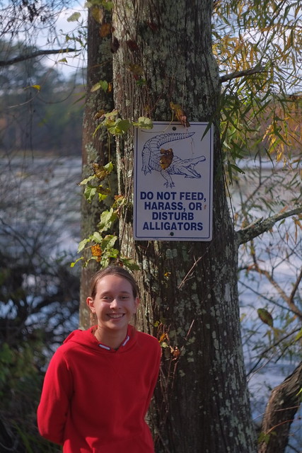 Don't feed the alligators.