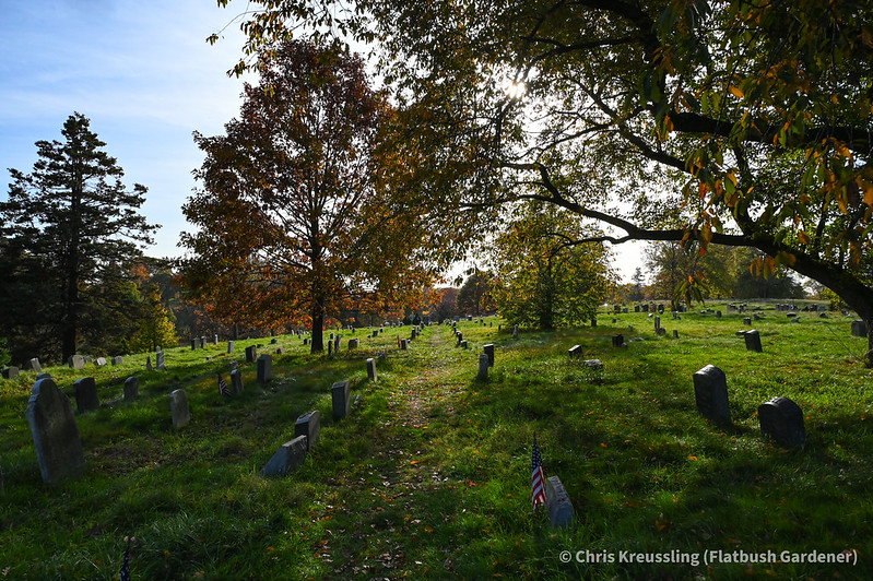 Green-Wood Cemetery, early November 2022