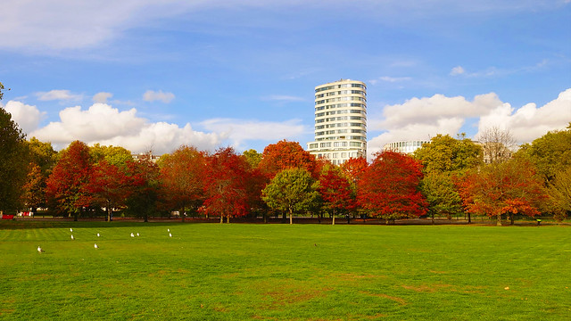 Autumn in Hyde Park, London