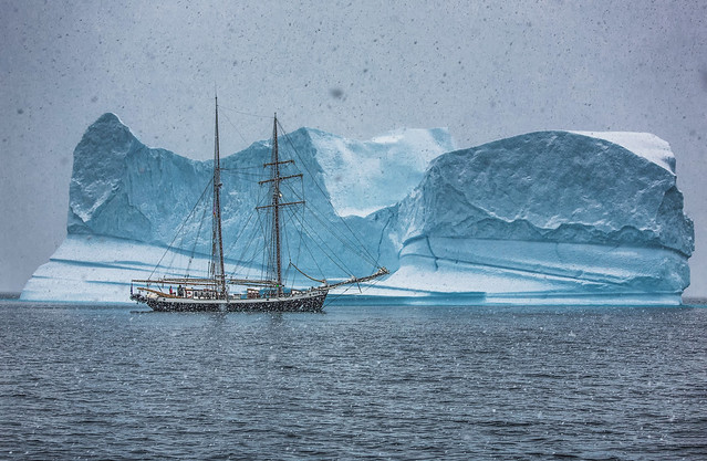 Sailing in East Greenland