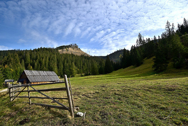 Chochołowska Valley, Tatra Mountains