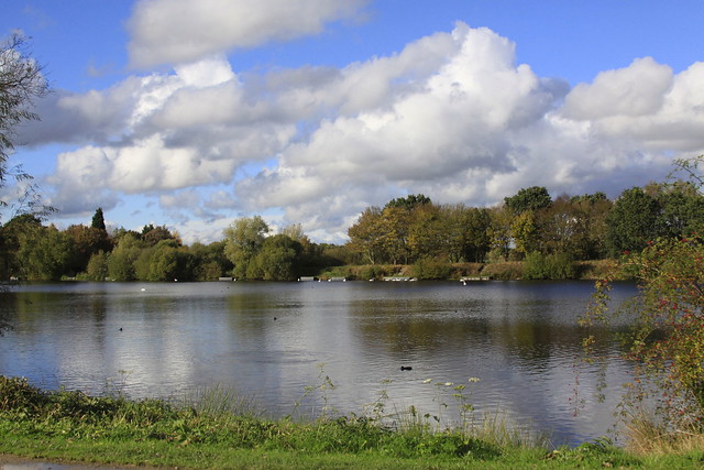 Broomey Croft Pool (43/52)