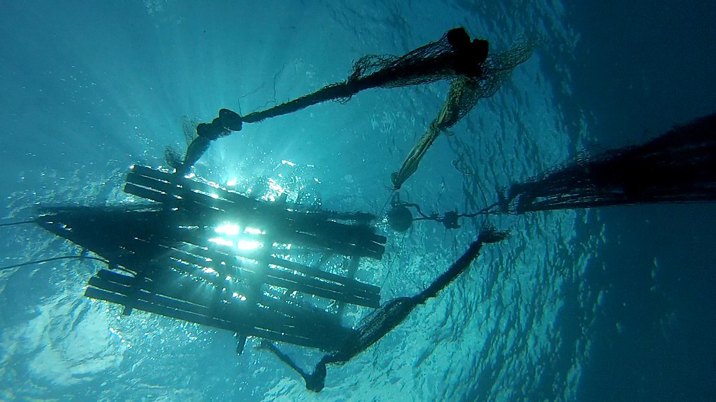 所羅門群島所使用的集魚器。圖片來源：WorldFish／Wade Fairley（CC BY-NC-ND 2.0）