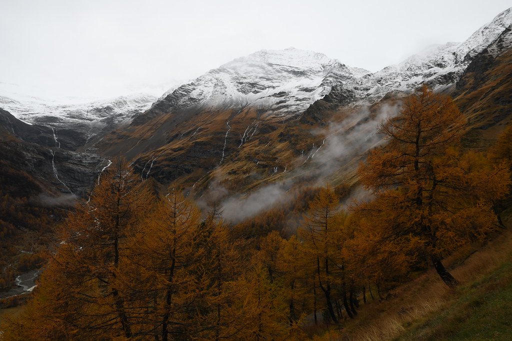 Mit dem Bernina-Express von Tirano nach St. Moritz