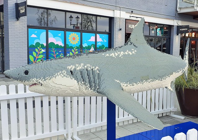 10ft long Mako Shark