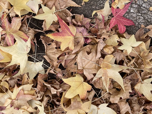 Autumn Cliche
