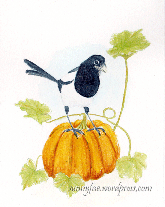 magpie pumpkin watercolour