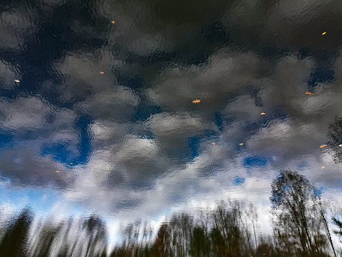 drone dji cloud clouds reflections reflection blue gray trees water lakelily lake fromabove poconos fall 2022 nature wilderness below puffy leaves ripples djimavicminipro3
