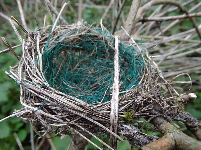 Bird-built Nest of Wire