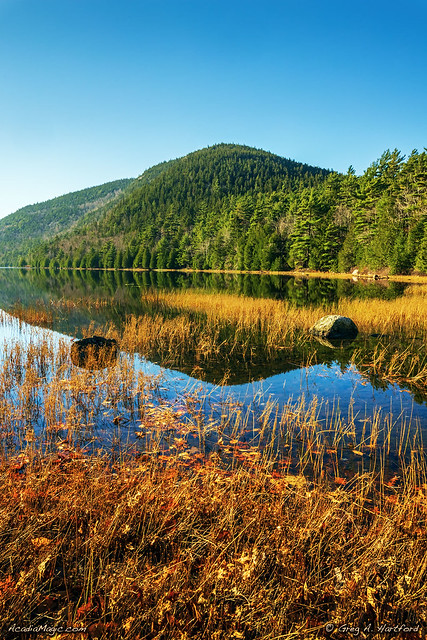 Bubble Pond in Acadia M1A6186