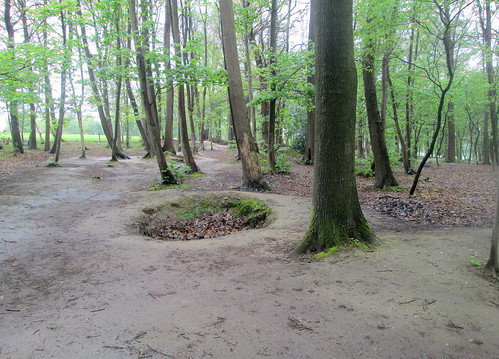 Hill 62 Museum Craters + Trees 1