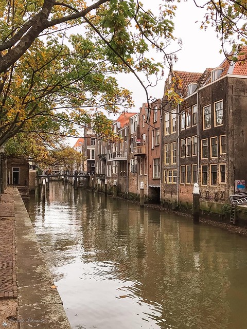 Een herfstdag in Dordrecht