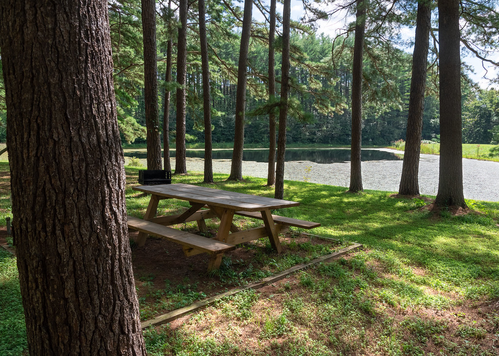 Dawley Connector Trail