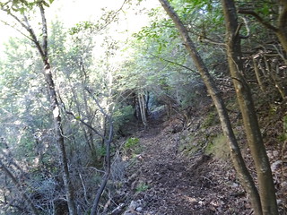 Le sentier Peralzone - Cervi nouvellement restauré : entre le piton rocheux et les alentours du Cervi