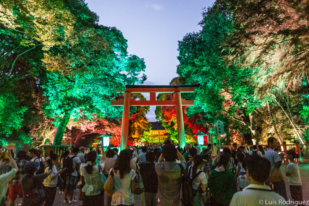 Santuario Shimogamo, durante una iluminaci&oacute;n de teamLab