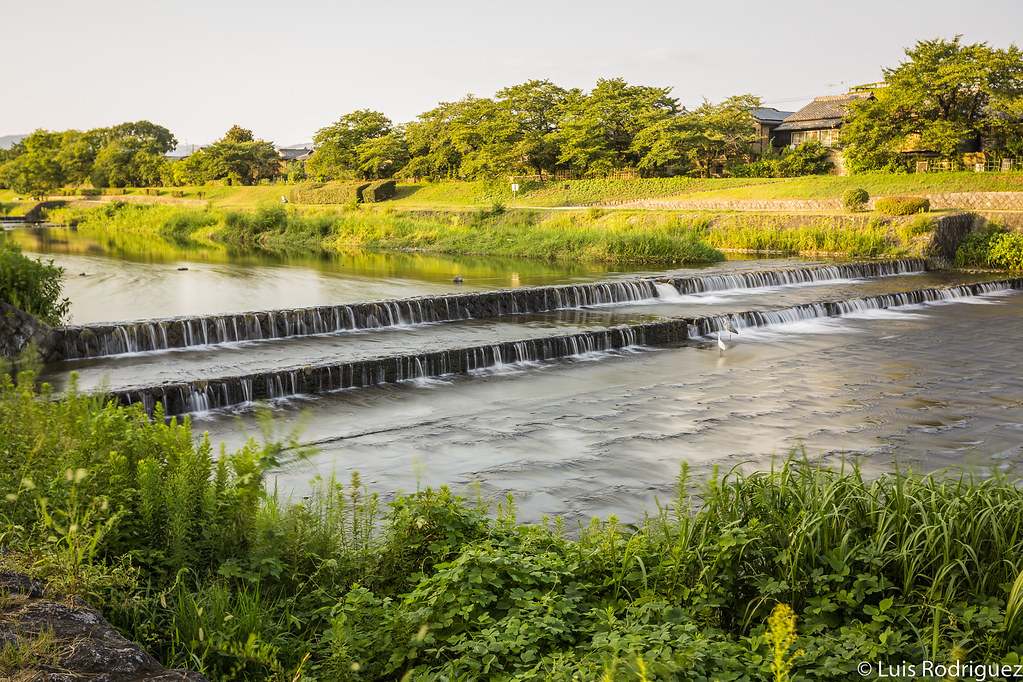 Río Kamo a la altura del santuario Shimogamo