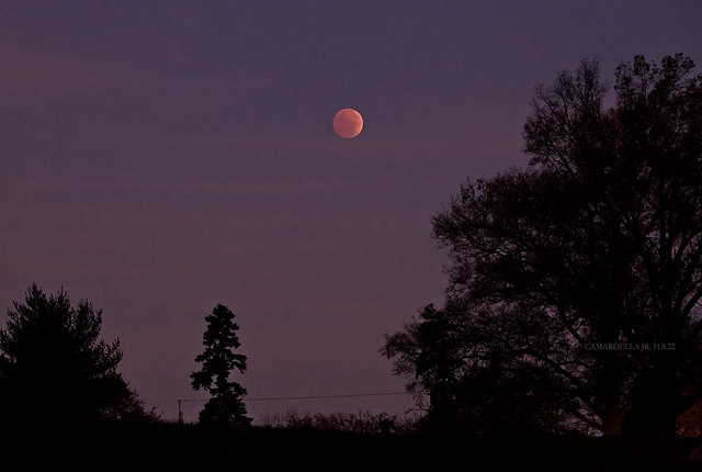 Total Blood Moon Eclipse - 11.8.22