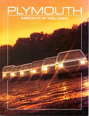 Plymouth gamma 1985