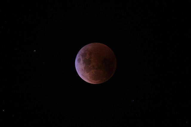 Blood Moon, Wellington, New Zealand