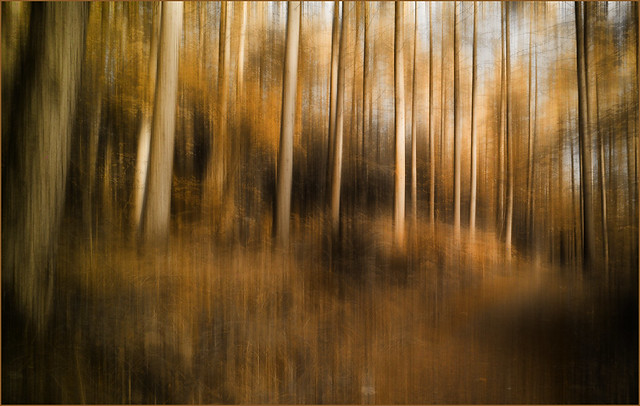 Autumnal hues - In Explore 11/22