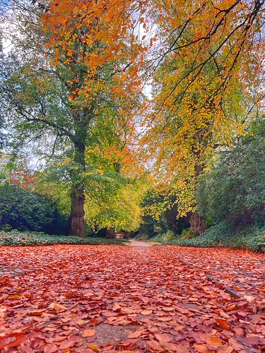 Biddulph Grange Garden | by cattan2011