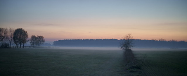 evening fog