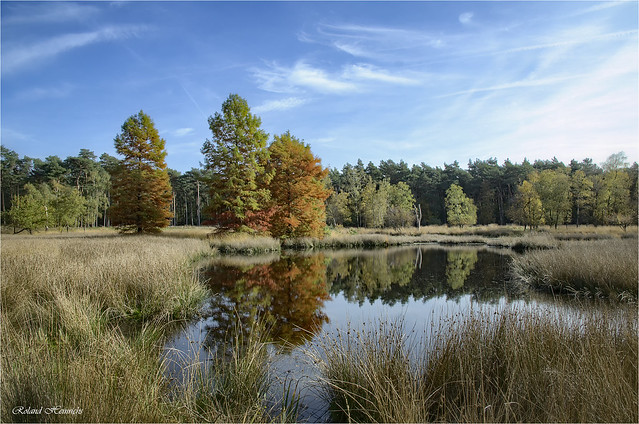 Herbstgrüße aus dem Naturpark - Schwalm - Nette.