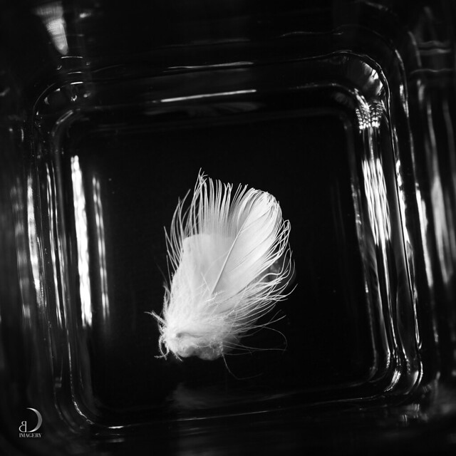 Feather and white stone in glass vase