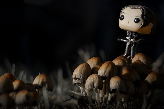 Katniss (Funko Pop) with mushrooms