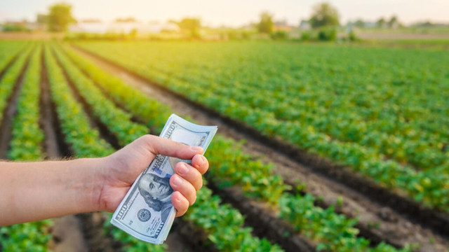 كيف يساعد قطاع التكنولوجيا المالية المزارعين ؟