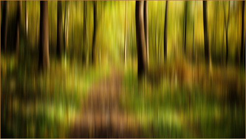 trees abstract color colour green forest woodland woods artistic icm chopwellwoods intentionalcameramovement flickrexploreme landscape