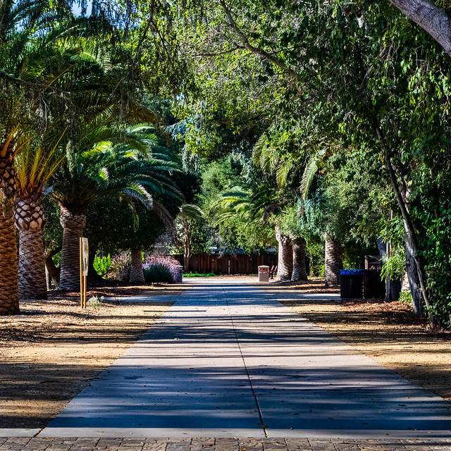 California Nursery Historical Park Walkway No. 1