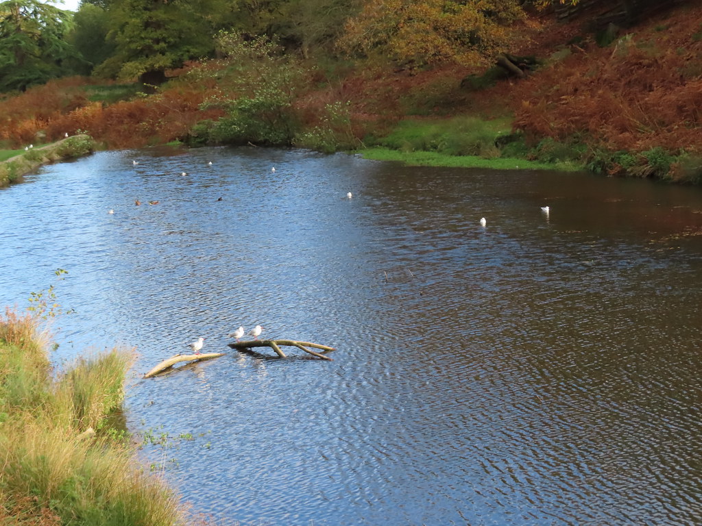 Bradgate Park - pool | terracotta buff | Flickr