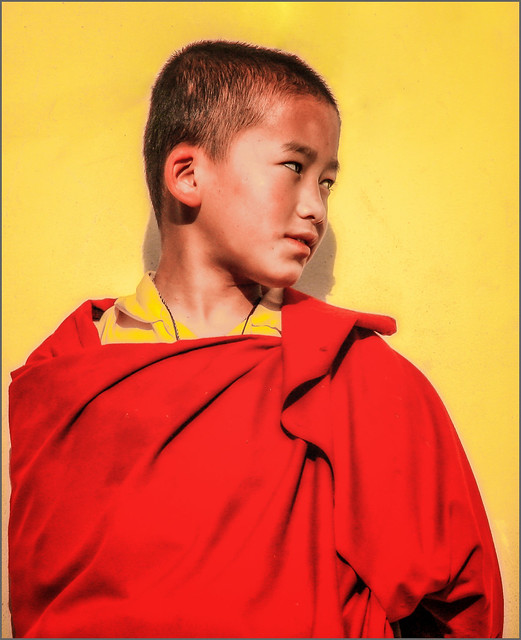Young bhutan monk
