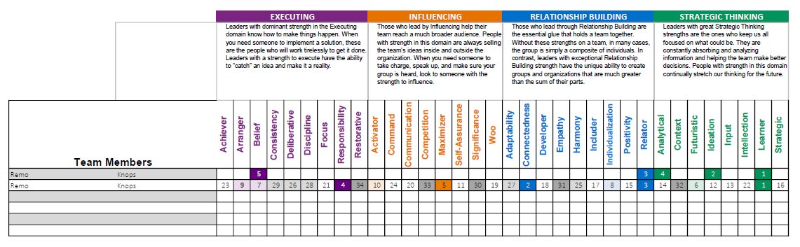 Remo Knops - Team Strengths Grid