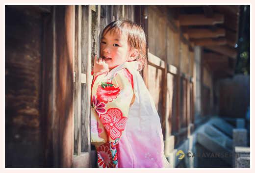 七五三　猿投神社へお参りする3歳の女の子