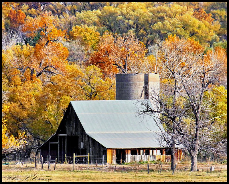 A barn settled in among the fading fall colors. (Bill Hutchinson)