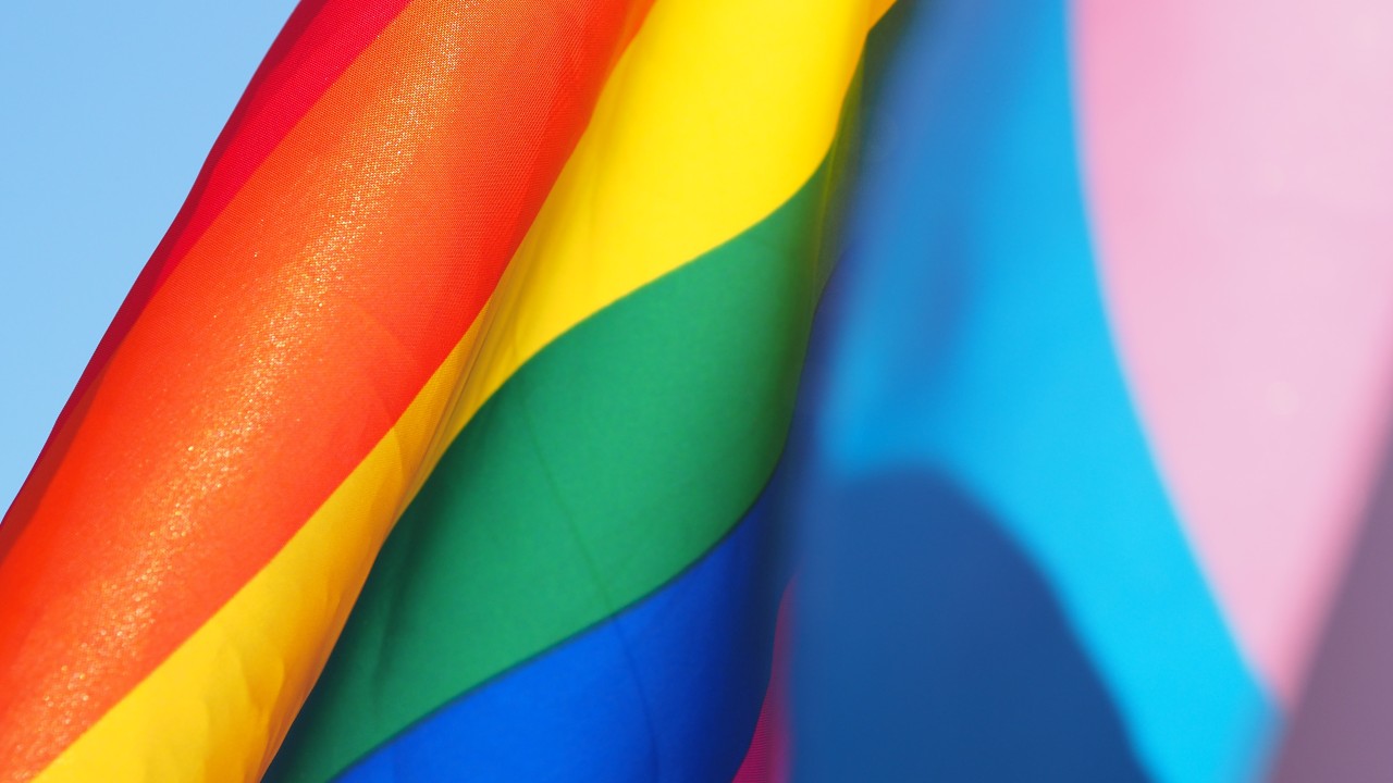 An LGBT flag, alongside a trans rights flag