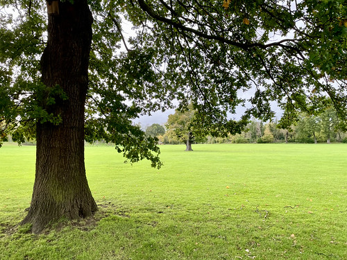 iphone autumn fall tree trees grass nature landscape peaceful enfieldtownpark