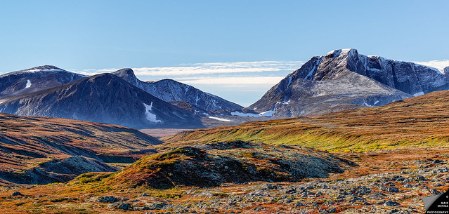 Oberhalb der Baumgrenze im Dovrefjell-Sunndalsfjella-Nationalpark sind die farbenprächtigen Täler ebenso sehenswert, wie die über 2.000 m hohen schneebedeckten Bergketten.