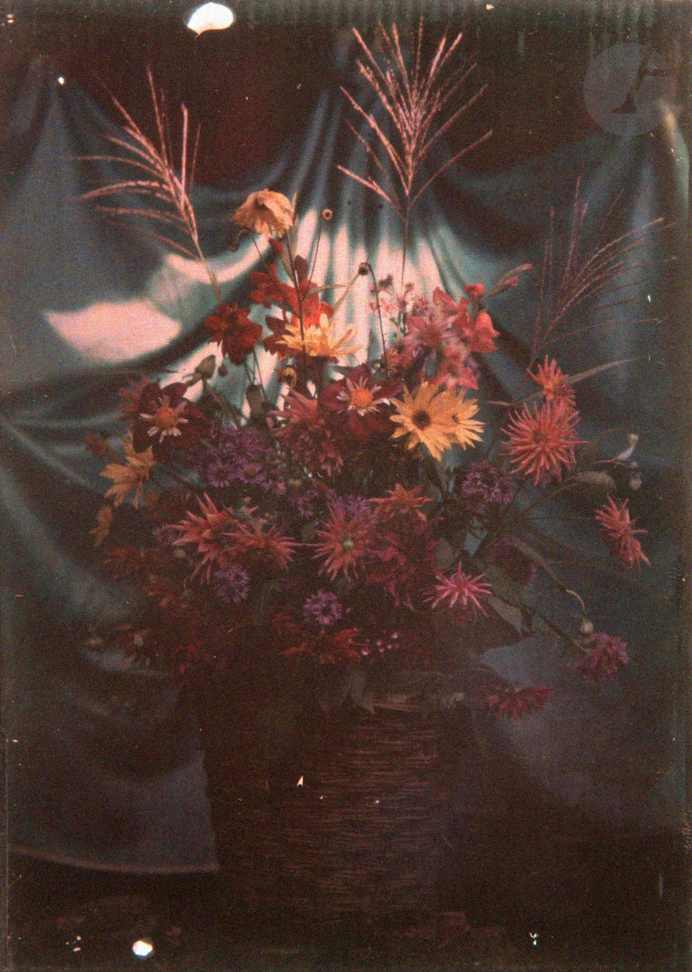 Henry-René d’Allemagne (1863-1950) et divers :: Composition avec des fleurs, ca. 1910. Autochrome. | src Ader ~ Paris Photo 2022