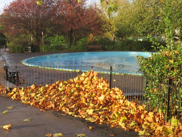 Paddling pool at Priory Park, Hornsey, North London (Autumnal) seen here after high winds