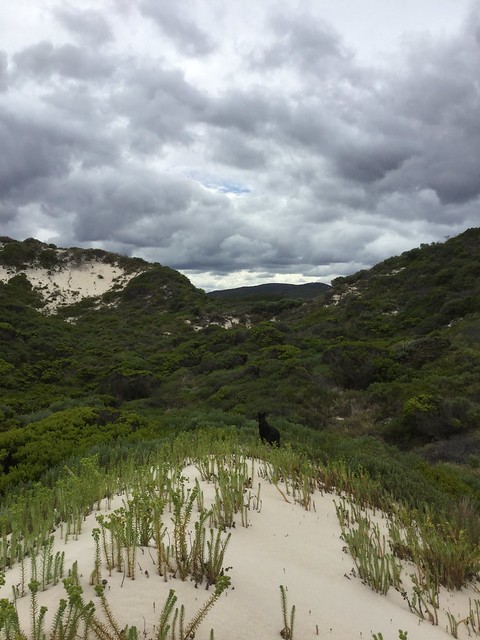 William Bay / Mazzoletti Beach - Bibbulmun Track, South Coast, Western Australia