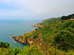 Guernsey_2022-053 - Wednesday 20th July - Path to Moulin Huet