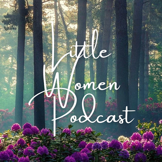 Little Women Q and A Your Questions Answered